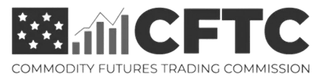 Regulatory financial license document certifying Crypto Volton AI as an authorized operation